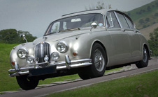 Jaguars at Prescott Hill